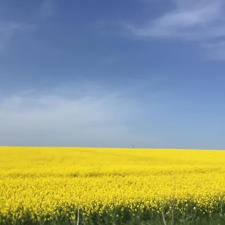 Vilă Stunning With Private Pool Kableshkovo (Burgas)