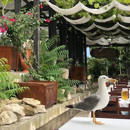 빌라 Stunning With Private Pool
